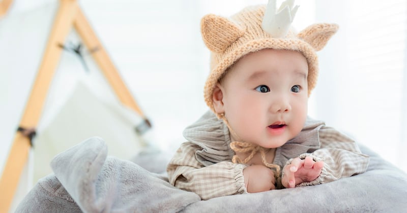 Entdecken Sie das perfekte Kuscheltier für Babys: Trends und Tipps 2026